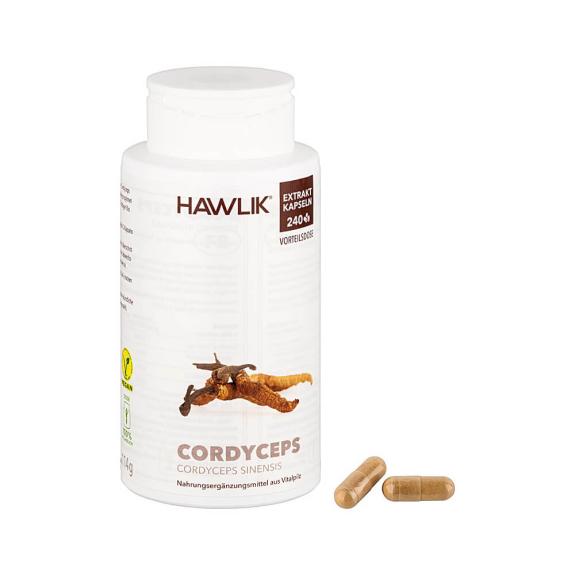 Cordyceps Extrakt, 240 Kapseln