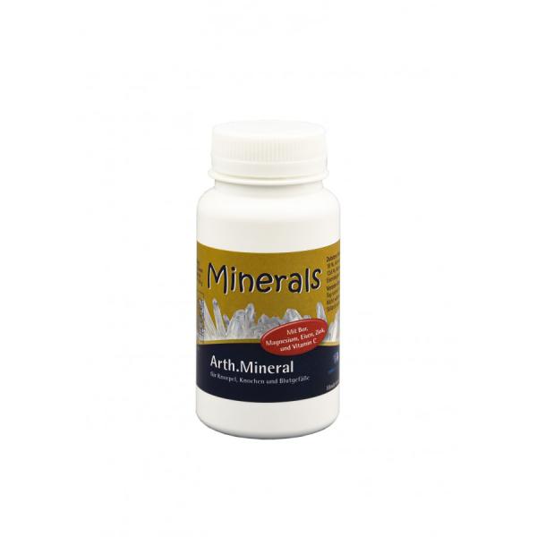 Arth.Mineral 80g Pulver