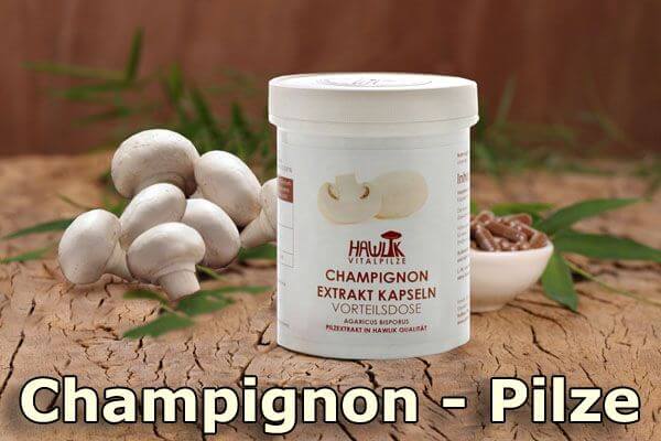 Champignon | Original Hawlik