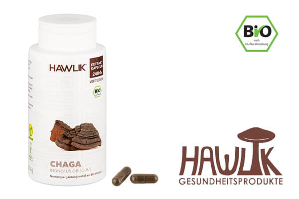 Chaga Vitalpilz Hawlik