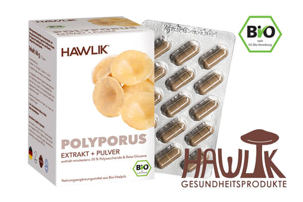 Polyporus Vitalpilz Hawlik